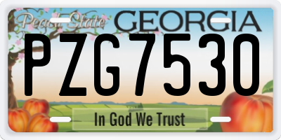 GA license plate PZG7530