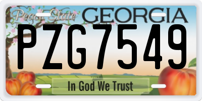 GA license plate PZG7549