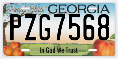 GA license plate PZG7568