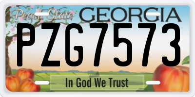 GA license plate PZG7573
