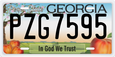 GA license plate PZG7595