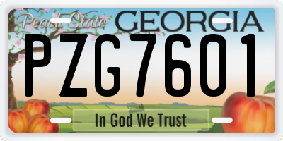 GA license plate PZG7601