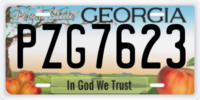 GA license plate PZG7623