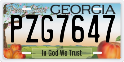 GA license plate PZG7647