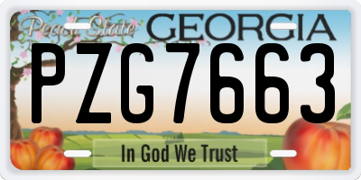 GA license plate PZG7663