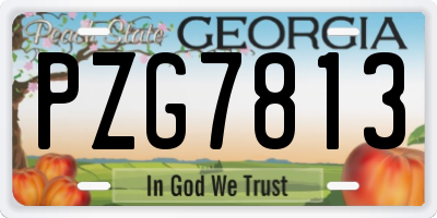GA license plate PZG7813