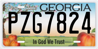 GA license plate PZG7824
