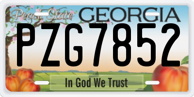 GA license plate PZG7852