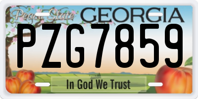 GA license plate PZG7859