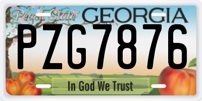 GA license plate PZG7876
