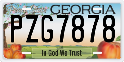 GA license plate PZG7878