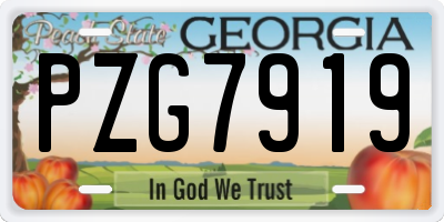 GA license plate PZG7919