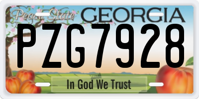 GA license plate PZG7928