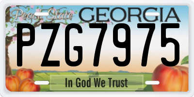 GA license plate PZG7975