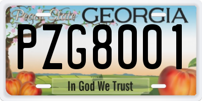 GA license plate PZG8001