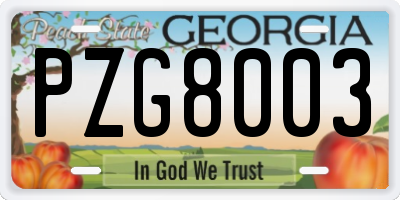 GA license plate PZG8003