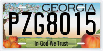GA license plate PZG8015