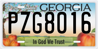 GA license plate PZG8016
