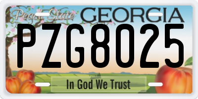 GA license plate PZG8025
