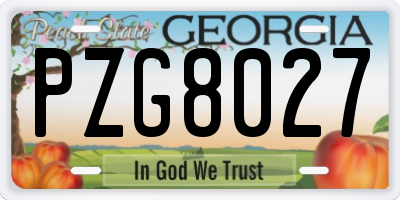 GA license plate PZG8027