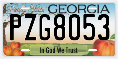 GA license plate PZG8053