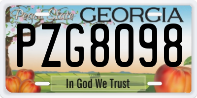 GA license plate PZG8098