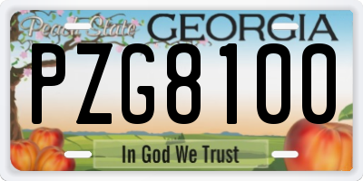 GA license plate PZG8100