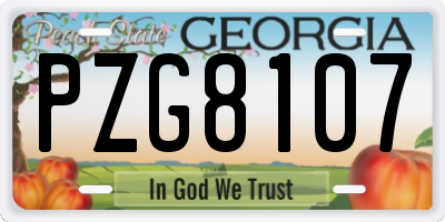 GA license plate PZG8107