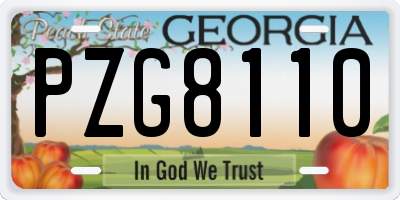 GA license plate PZG8110