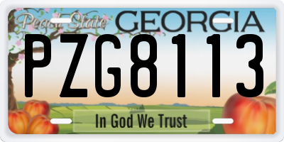 GA license plate PZG8113