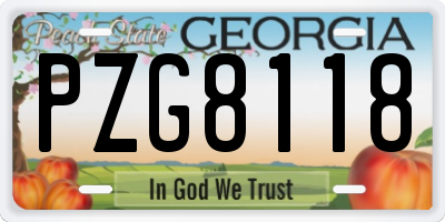 GA license plate PZG8118