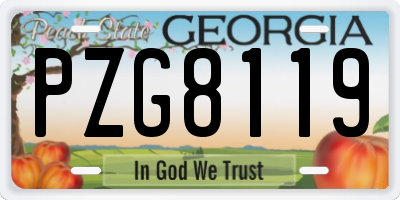 GA license plate PZG8119