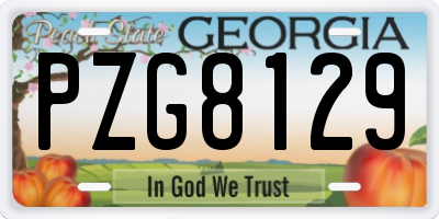 GA license plate PZG8129
