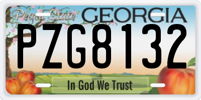 GA license plate PZG8132