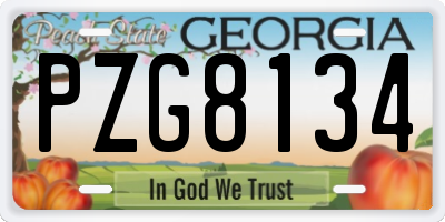 GA license plate PZG8134