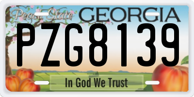 GA license plate PZG8139