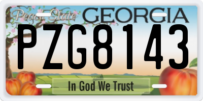 GA license plate PZG8143