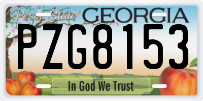 GA license plate PZG8153
