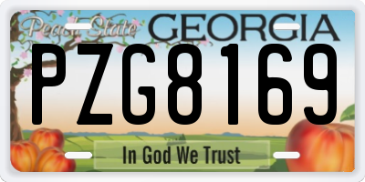 GA license plate PZG8169