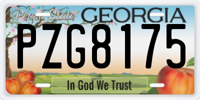GA license plate PZG8175