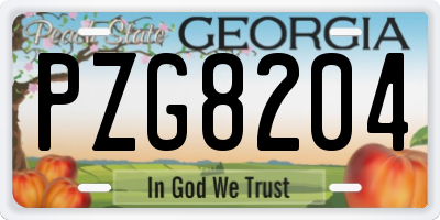 GA license plate PZG8204