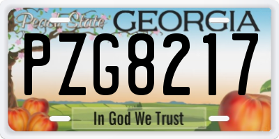 GA license plate PZG8217