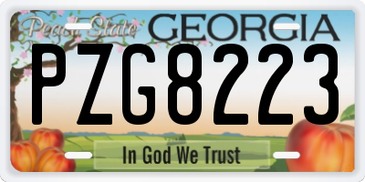 GA license plate PZG8223