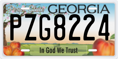 GA license plate PZG8224