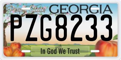 GA license plate PZG8233