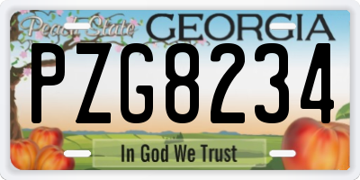 GA license plate PZG8234