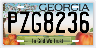 GA license plate PZG8236