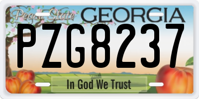 GA license plate PZG8237