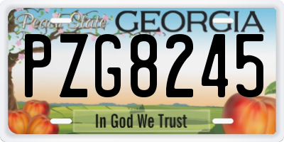 GA license plate PZG8245