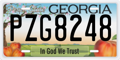GA license plate PZG8248